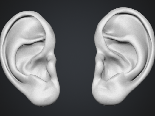 Paire d'oreilles humaines décoratives (gauche et droite)